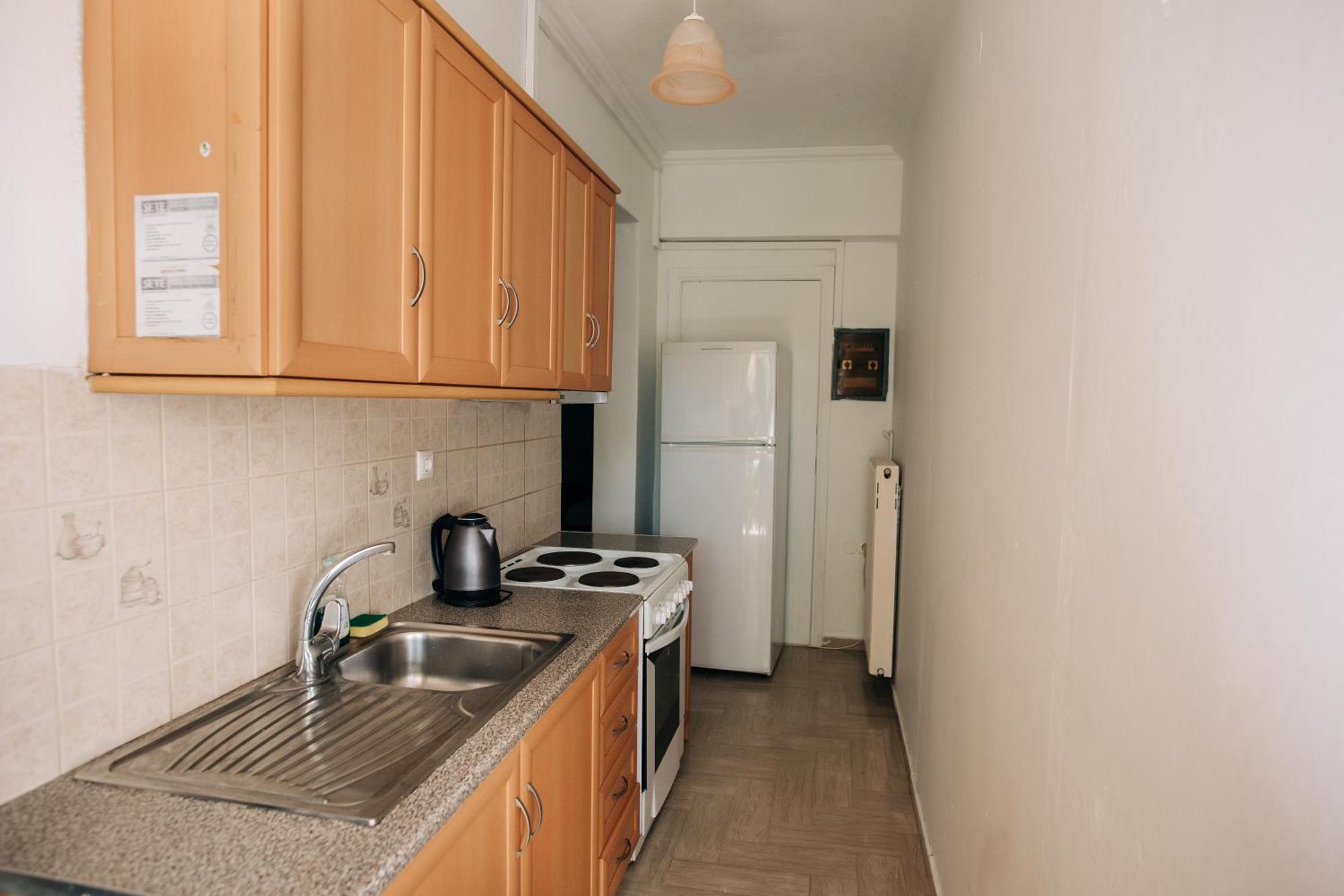 Swan Apartment Lefkada City